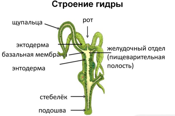 Кракен марихуана