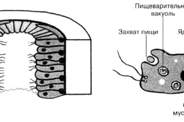 Кракен сайт kr2web in официальный ссылка